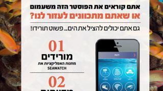 מהיום כולנו שוטרים של הים