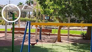 התקיפות נמשכות: זינוק במספר העורבים ההודים בעיר