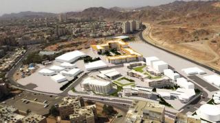 האם תבנה הישיבה התיכונית על בית הקברות לבעלי חיים של אילת?