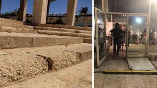אנשים עם מוגבלויות באילת מאשימים:  ''שש שנים שעיריית אילת מקיימת את הביאנלה בניגוד לחוק הנגישות''