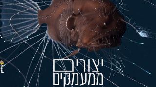 היכל התרבות