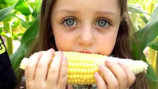 חבל אילות מזמינים: מגוון פעילויות ב- 10ש”ח ביום הבחירות