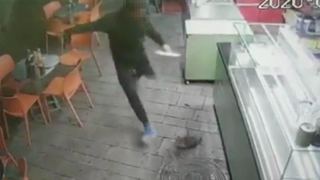 עו''ד ליז זמור: ''עם כל הכבוד לביהמ''ש ולחתולה שנפצעה,  הוא עדיין רק בעט בחתול''