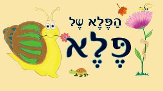 הפלא של פלא