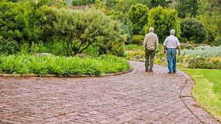 ביטוח פנסיוני: מתי חשוב לשלב אותו עם ביטוח חיים?