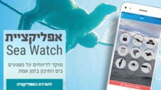 האפליקציה שהופכת גם  אתכם לשוטרים למען הים