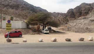לאור פשרה שהושגה: בוטל פה''ד שביטל קנסות בחוף הדרומי