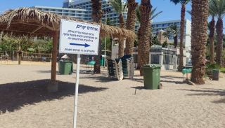 למה במלון דן לא משכירים מיטות שיזוף לאילתים?