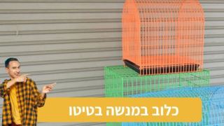 מנשה בטיטו: "הכנה לגור כלבים חדש"