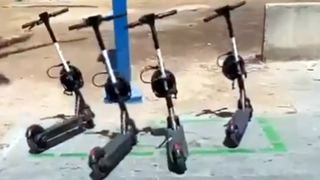 בירד אספה במפתיע את כל  הקורקינטים שלה מאילת 