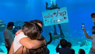 מותק - מדור החברה של אילת