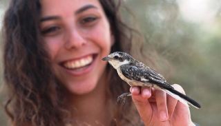 הפרויקט הקהילתי של מרכז  הצפרות אילת לשמירת טבע  הוכרז אחד החשובים בעולם