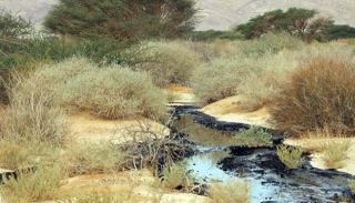 לאן נעלמו חומרי וועדת הבדיקה שערך  השופט וינוגרד באסון עין עברונה?
