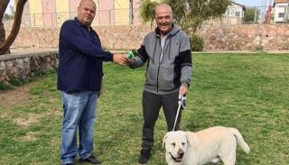 אוספים צואת כלבים ולא נקנסים