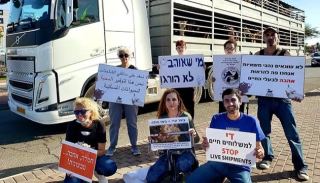 מחנה זכויות בעלי חיים בעיר אילת