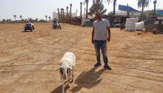 חוות הטרקטורונים תובעת  לבטל את צו הפינוי  משטח ערדג