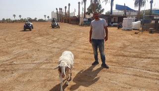 חוות הטרקטורונים תתפנה מחלק  מהשטח אך לא הולכת לשום מקום