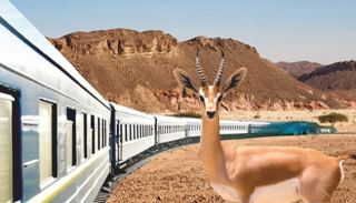 בעקבות אישור תקציב לתכנון  הרכבת לאילת – הירוקים מזהירים  מפני פגיעה בשמורות טבע