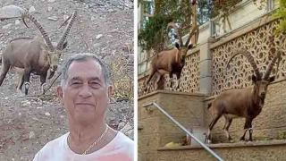 יעלים עלייך אילת