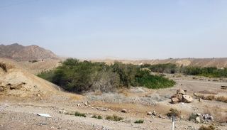 קק''ל תערוך טיולי חנוכה ברחבי  הארץ רק לא בערבה ואילת