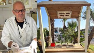 מעקרים ומסרסים חתולים