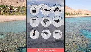 ירידה במספר הדיווחים  על מפגעים במפרץ אילת