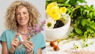 אביב הגיע רותם באה