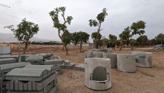 בעקבות העתקת עצי הסיסם ההודי פקיד היערות פתח בחקירה נגד חכ''א