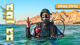  מועדוני הצלילה הטובים באילת 2026 וכל מה שצריך לדעת על צלילה באילת