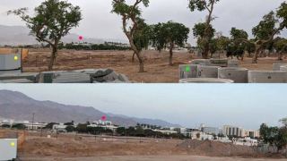 בעקבות תקציב ענק שהתקבל:נאמני העצים של אילת מבקשים מהעירייה שתפי אותנו בתוכניות