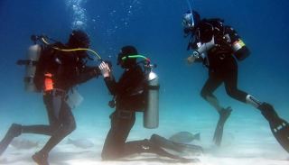 מחקר: מפרץ אילת סופג  יותר גזי חממה  מכל ים אחר בעולם