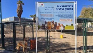 עיריית אילת מחנכת את בעלי הכלבים  להיכנס למתחמים סגורים - אבל הם לא אוהבים את זה