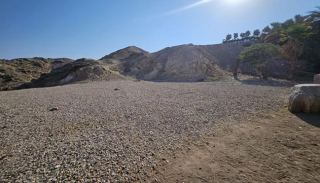 בין ההרים לשכונות:  תופעת קבורת חיות המחמד מגיעה לשחמון