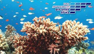 מחקר חדש מהמכון הבינאוניברסיטאי למדעי הים: לאלמוגים יש שעון הורמונלי  והוא נראה דומה להפליא לשלנו