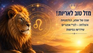 אריות, זה הזמן שלכם: שנה של פריצות דרך לצד מבחני החיים