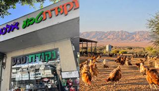 רגע לפני הסדר החובות: ספק מהערבה תובע את "נקודת טבע"