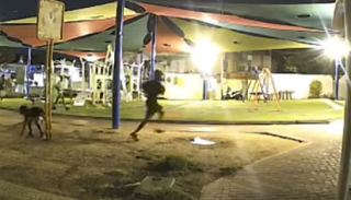 תושבי יעלים מזהירים:  ״אנחנו נשארים מבוצרים בבתים״