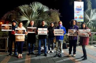 מחאת פעילי זכויות בעלי חיים כנגד המשלוחים החיים באילת