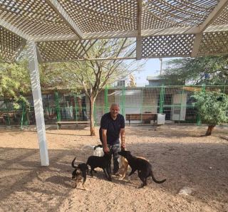 אימוץ בינלאומי - מאילת לאונטריו