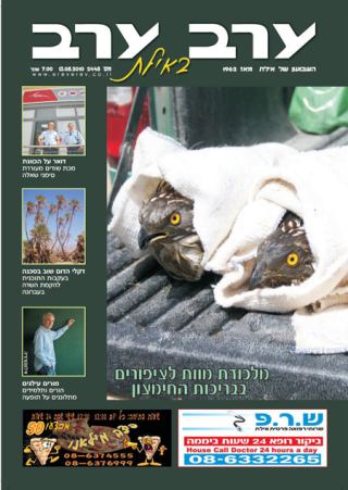 שער גיליון 2445