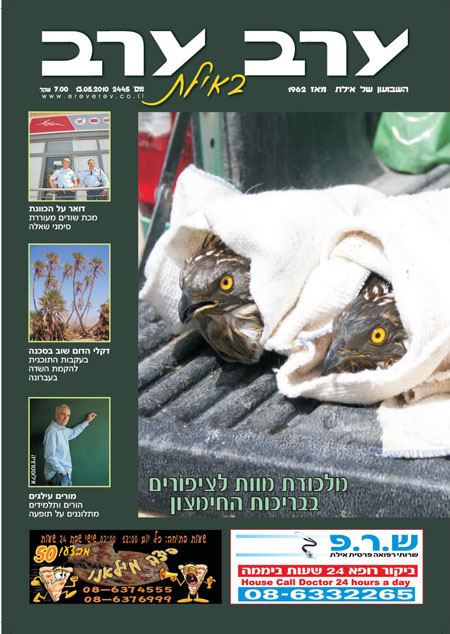 שער גיליון 2445