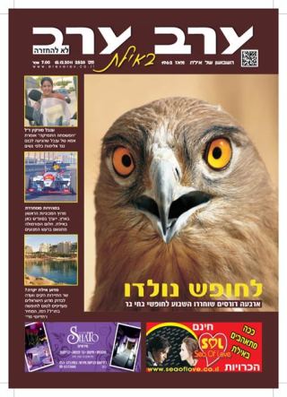 שער גיליון 2528