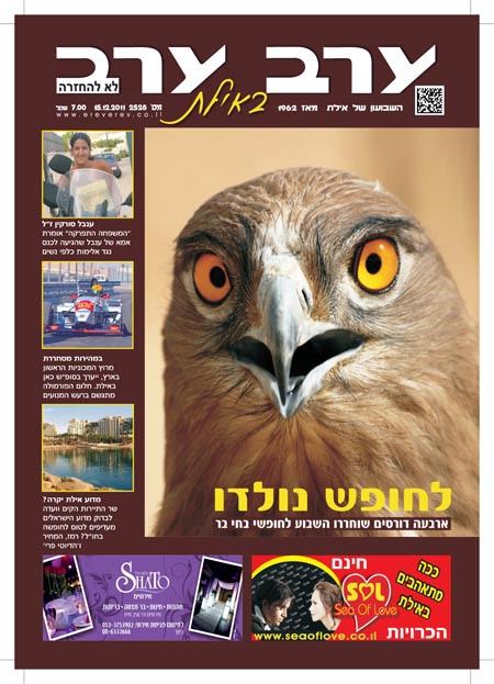שער גיליון 2528