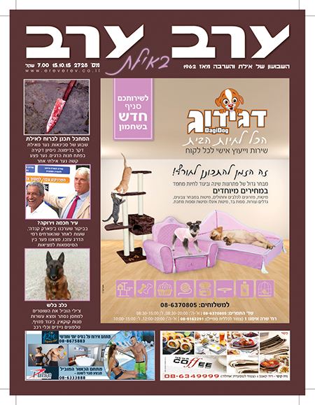 שער גיליון 2728