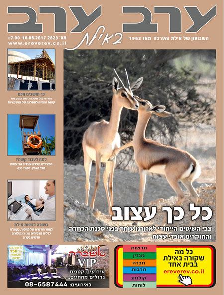 שער גיליון 2823