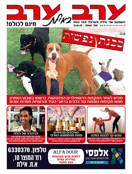 שער גיליון 2900
