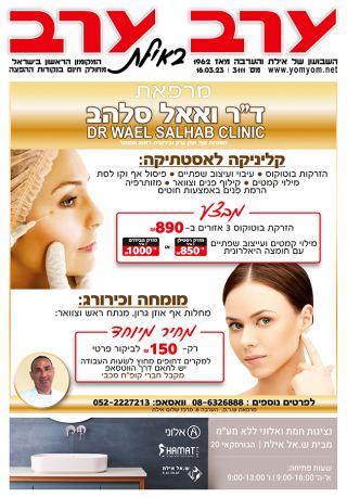 שער גיליון 3111