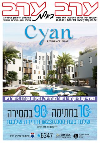 שער גיליון 3165