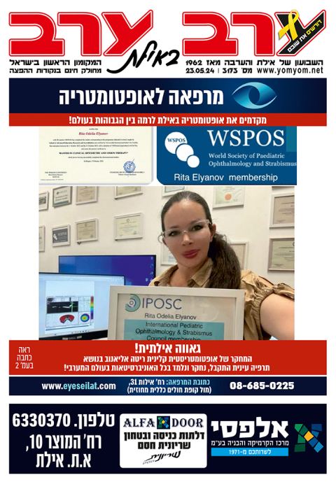 שער גיליון 3173