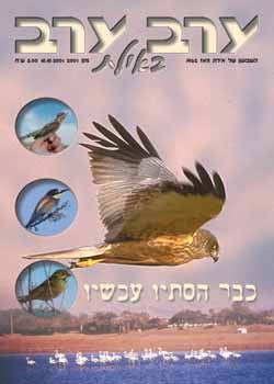 שער גיליון 2001